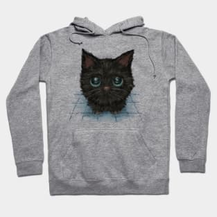 Black cat with blue eyes looks up at me Hoodie